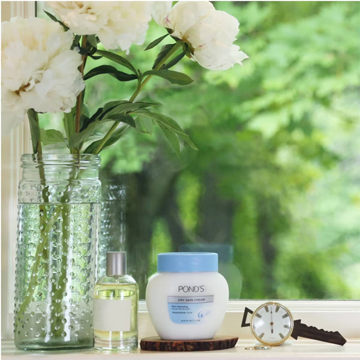 Pond's Facial Moisturizer for dry skin Dry Skin Cream