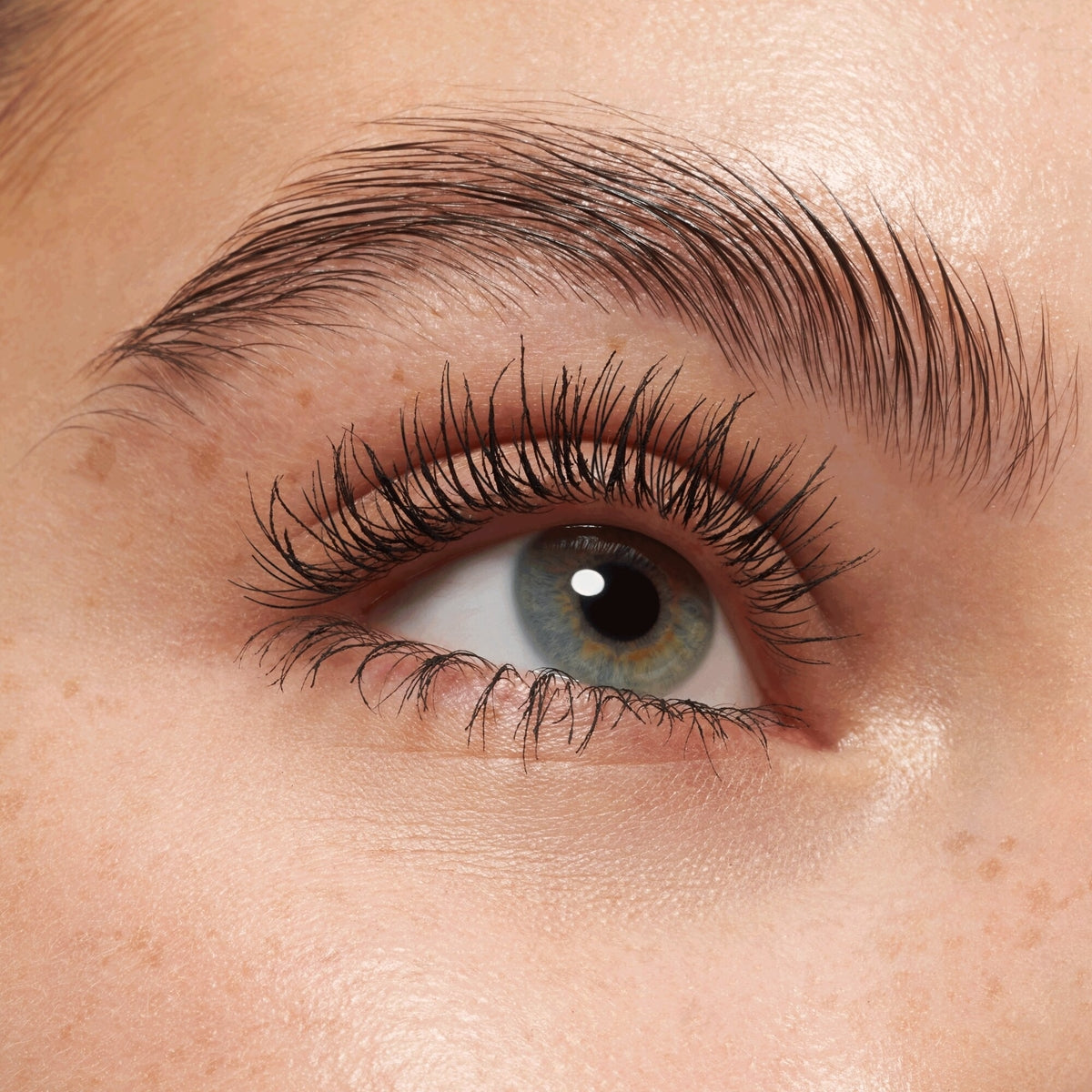 Essence  lash princess volume mascara