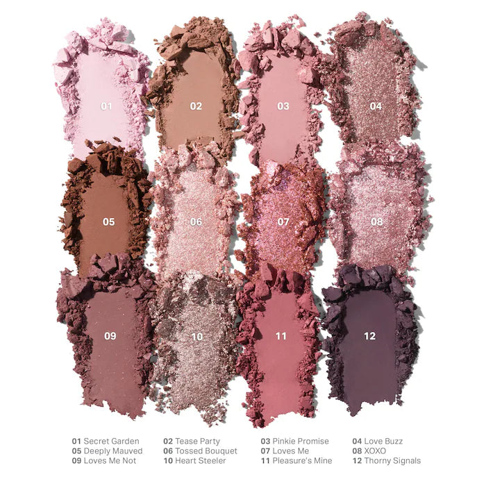 Morphe  ChromaPlus 12-Pan Eyeshadow Palette